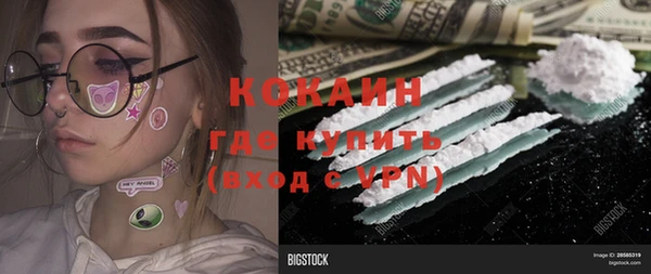 дмт Новозыбков