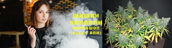 каннабис Новодвинск