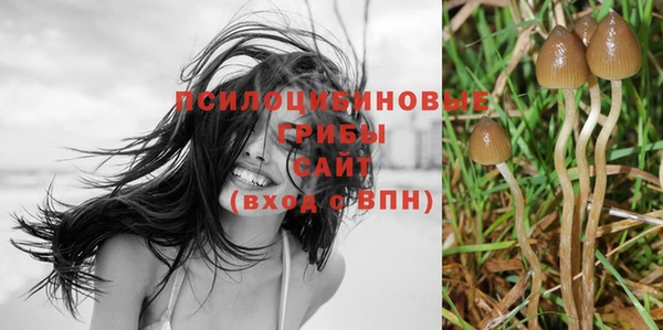 дмт Новозыбков