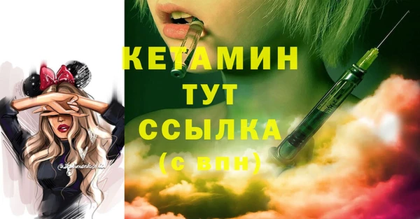 дмт Новозыбков