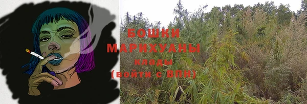 дмт Новозыбков
