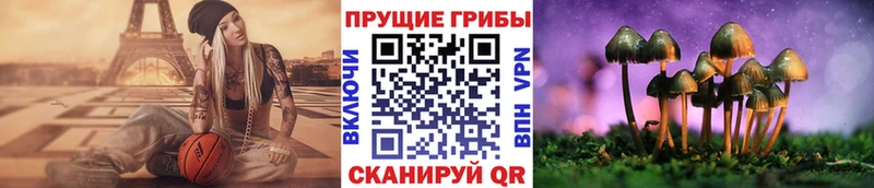 Галлюциногенные грибы Cubensis Нижняя Салда